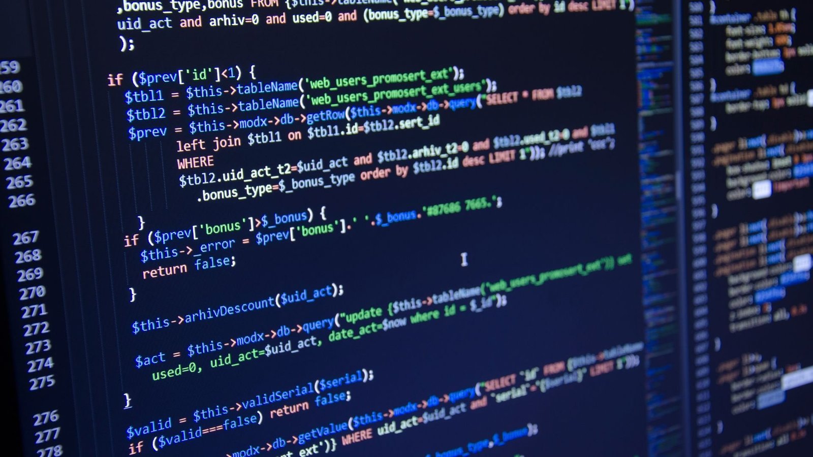 Code editor representing custom AI and API projects
